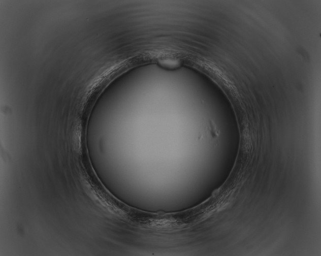 X0000090710446200708031436