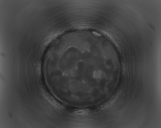 X0000090710447200708031436