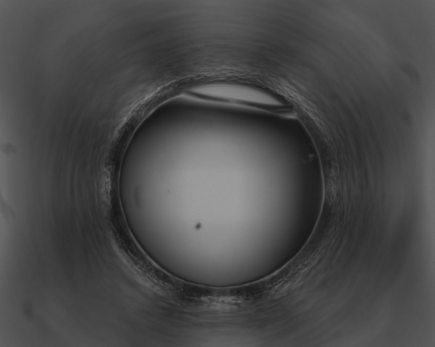 X0000090710448200708031436