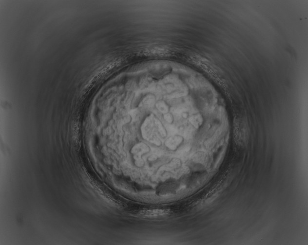 X0000090710449200708031436