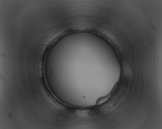 X0000090710450200708031436