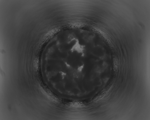 X0000090710451200708031436