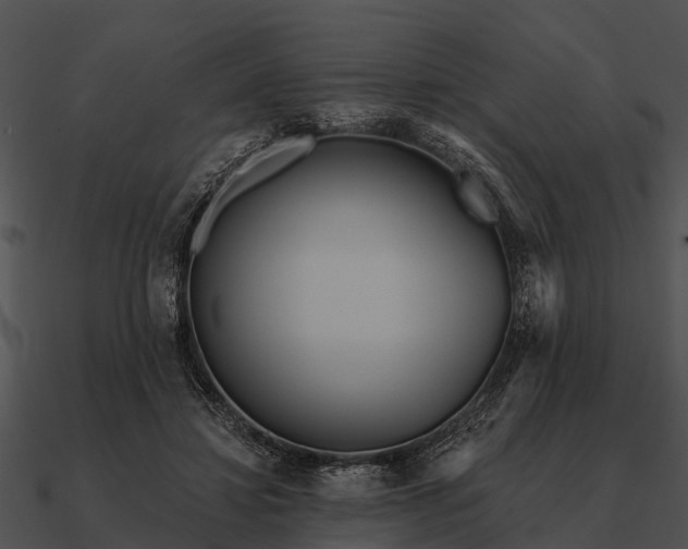 X0000090710452200708031436