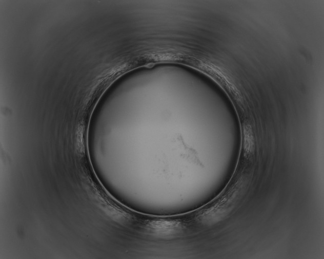 X0000090710453200708031436