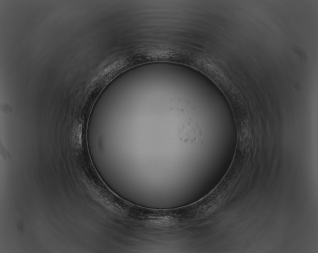 X0000090710454200708031436