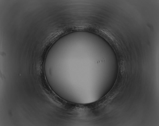 X0000090710455200708031436