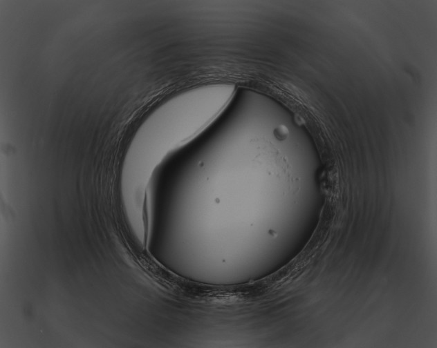 X0000090710456200708031436