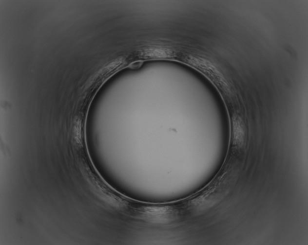 X0000090710457200708031436