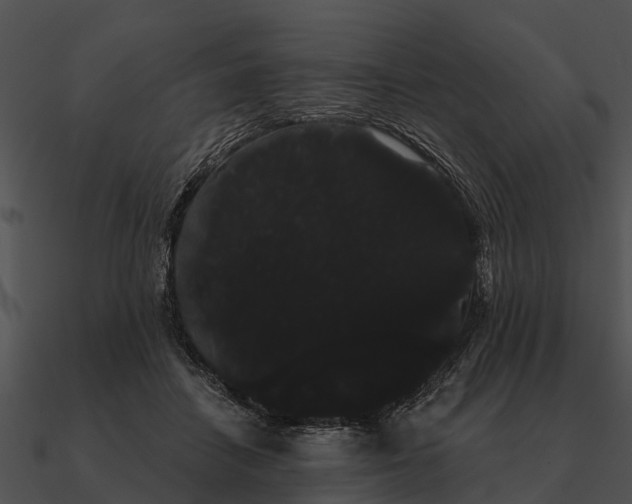 X0000090710458200708031436