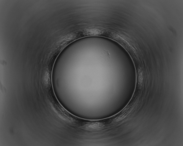 X0000090710459200708031436