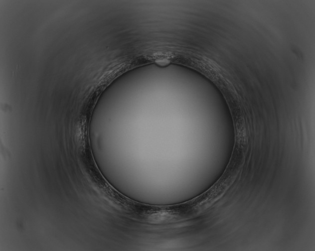 X0000090710460200708031436