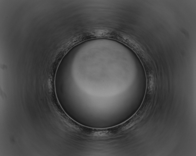 X0000090710461200708031436