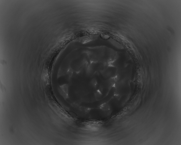 X0000090710465200708031436