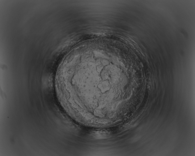 X0000090710466200708031436