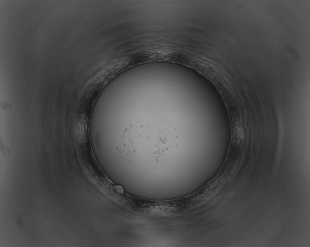 X0000090710468200708031436