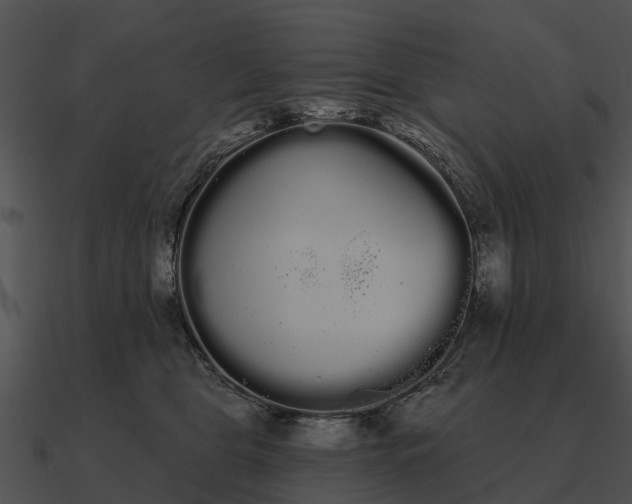 X0000090710469200708031436