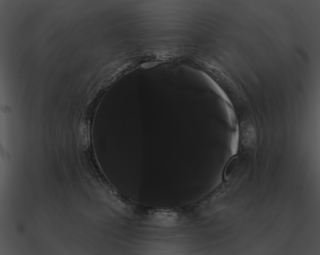 X0000090710471200708031436