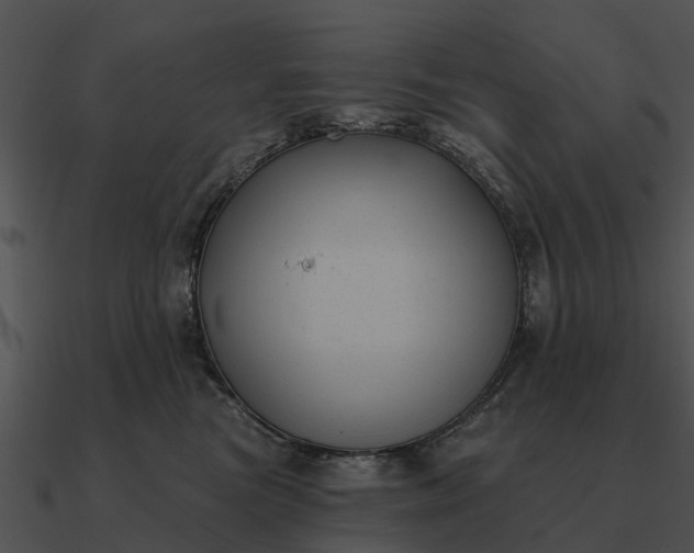 X0000090710473200708031436