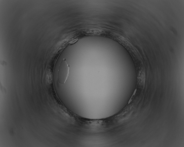 X0000090710474200708031436