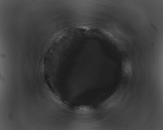 X0000090710475200708031437