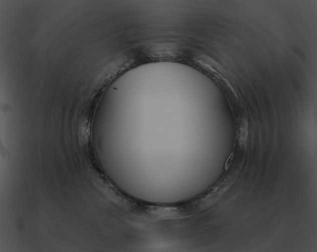 X0000090710476200708031437