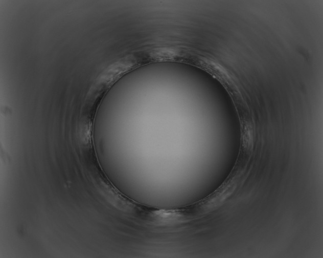 X0000090710477200708031437