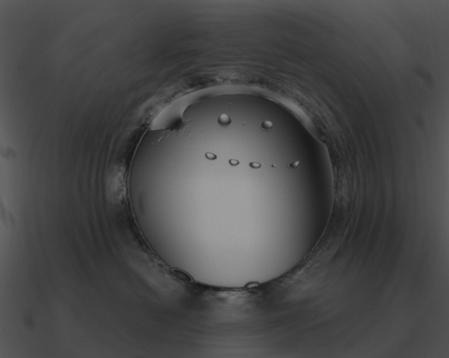 X0000090710478200708031437