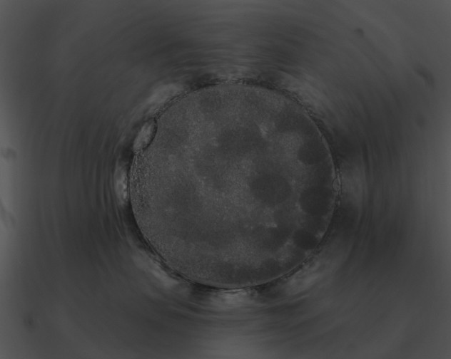 X0000090710479200708031437