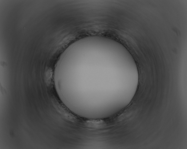 X0000090710480200708031437