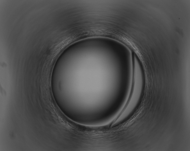 X0000090710481200708031436