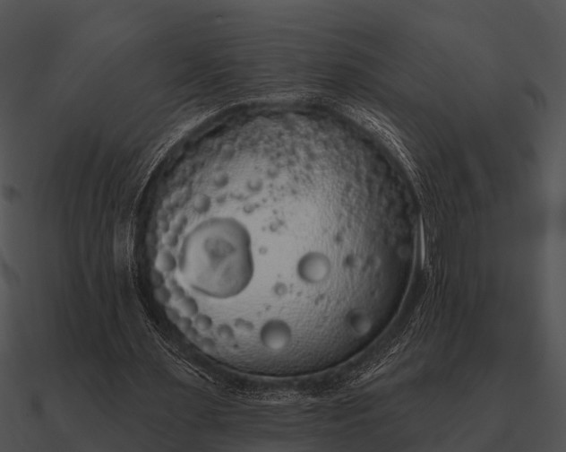 X0000090710483200708031436