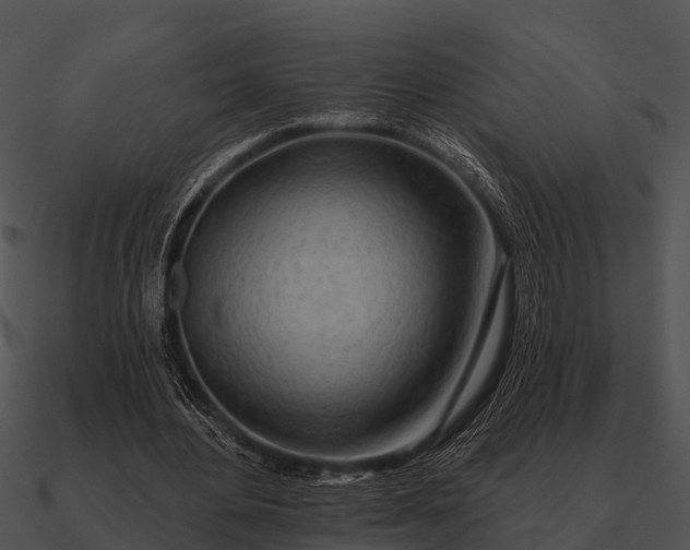 X0000090710484200708031436