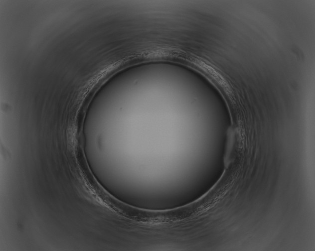 X0000090710485200708031436