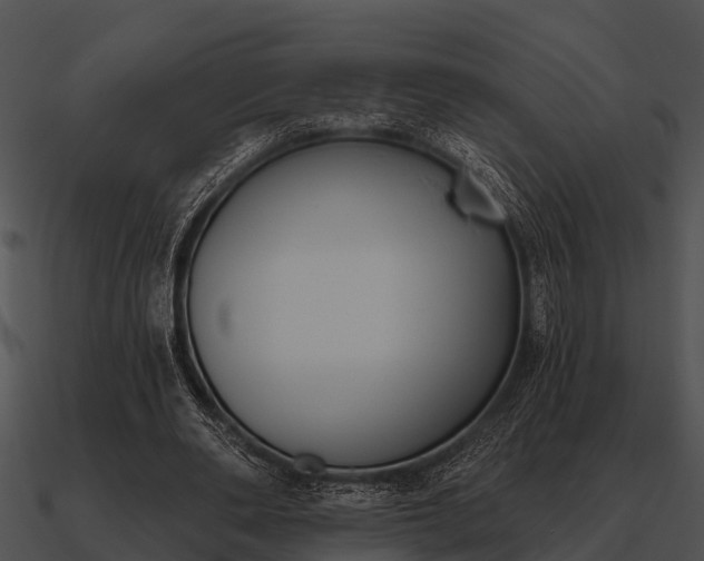 X0000090710486200708031436