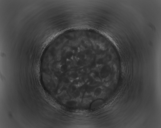 X0000090710487200708031436