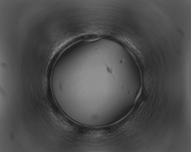 X0000090710488200708031436