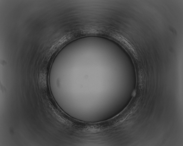 X0000090710489200708031436