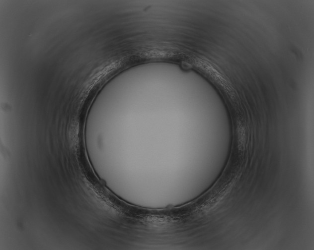 X0000090710490200708031436