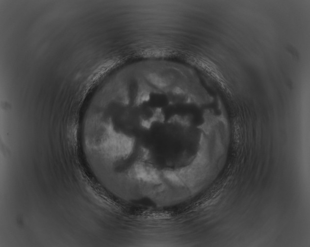 X0000090710491200708031436