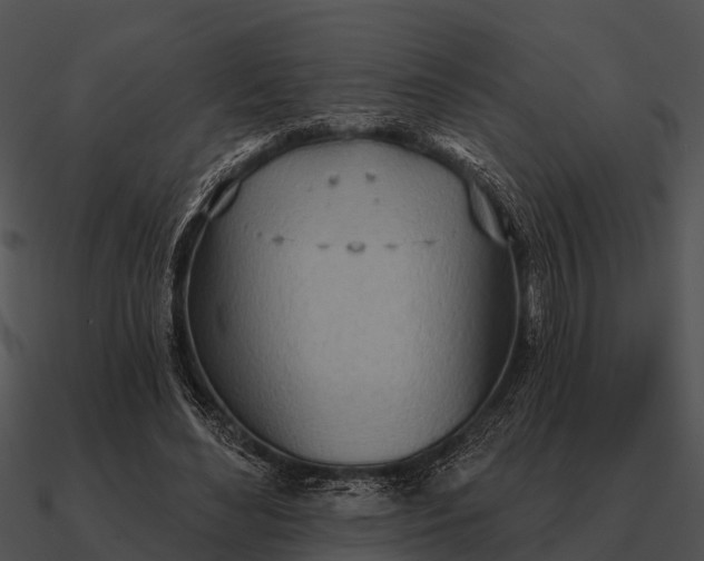 X0000090710492200708031436