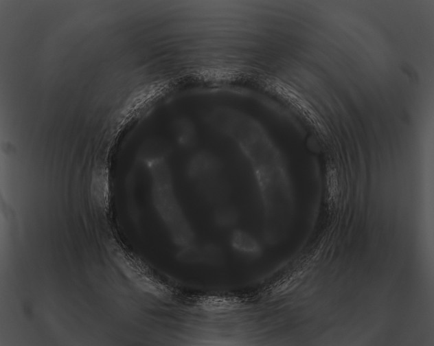 X0000090710494200708031436