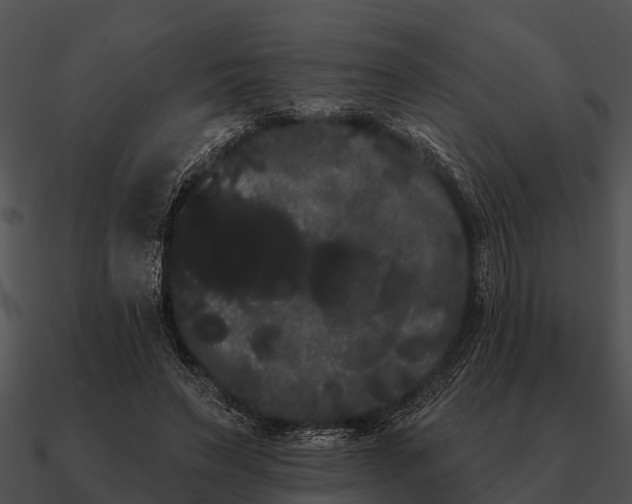 X0000090710495200708031436