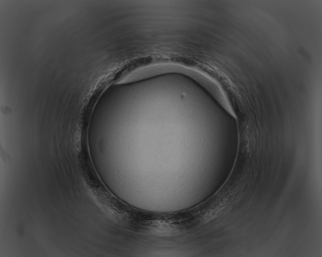 X0000090710496200708031436