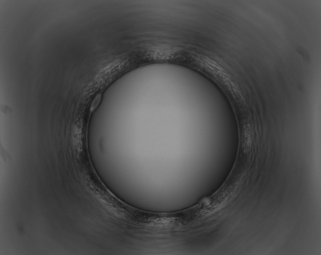 X0000090710497200708031436