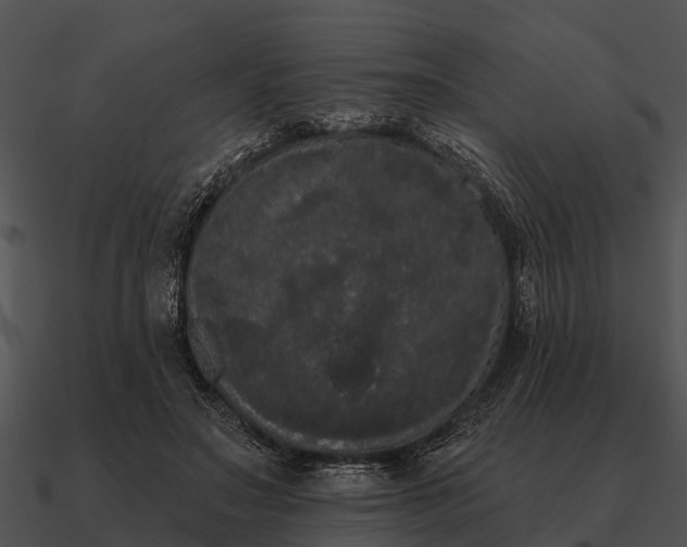 X0000090710499200708031436