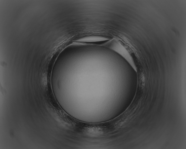 X0000090710500200708031436