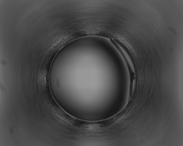 X0000090710501200708031436