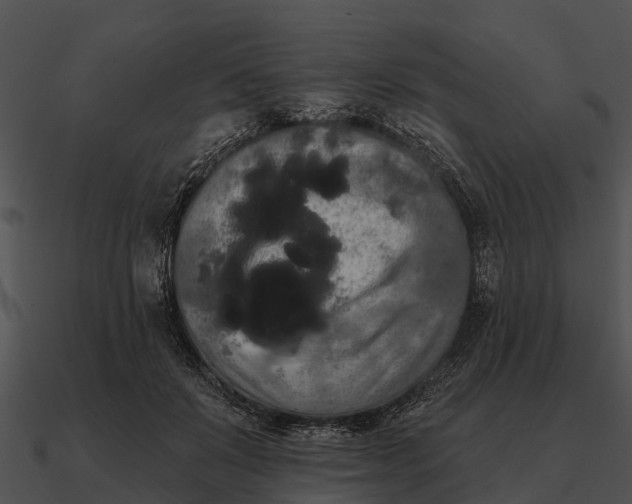 X0000090710503200708031436