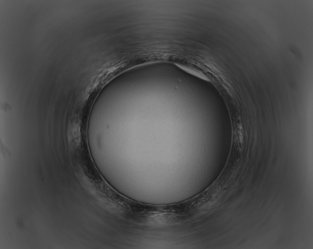 X0000090710504200708031436