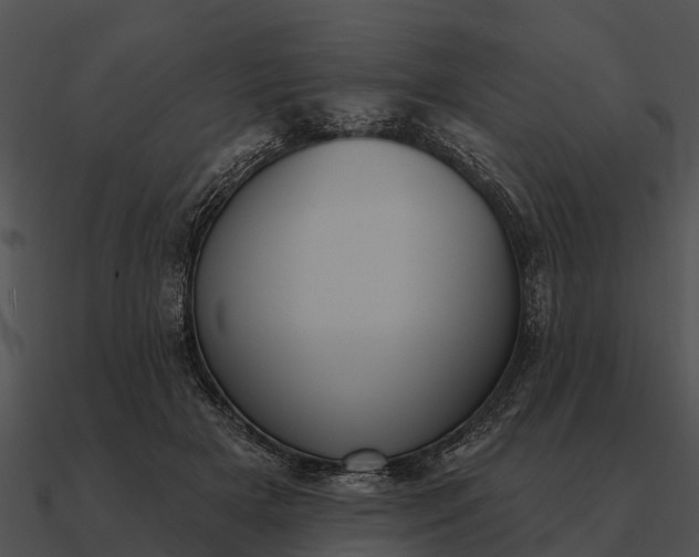 X0000090710505200708031436